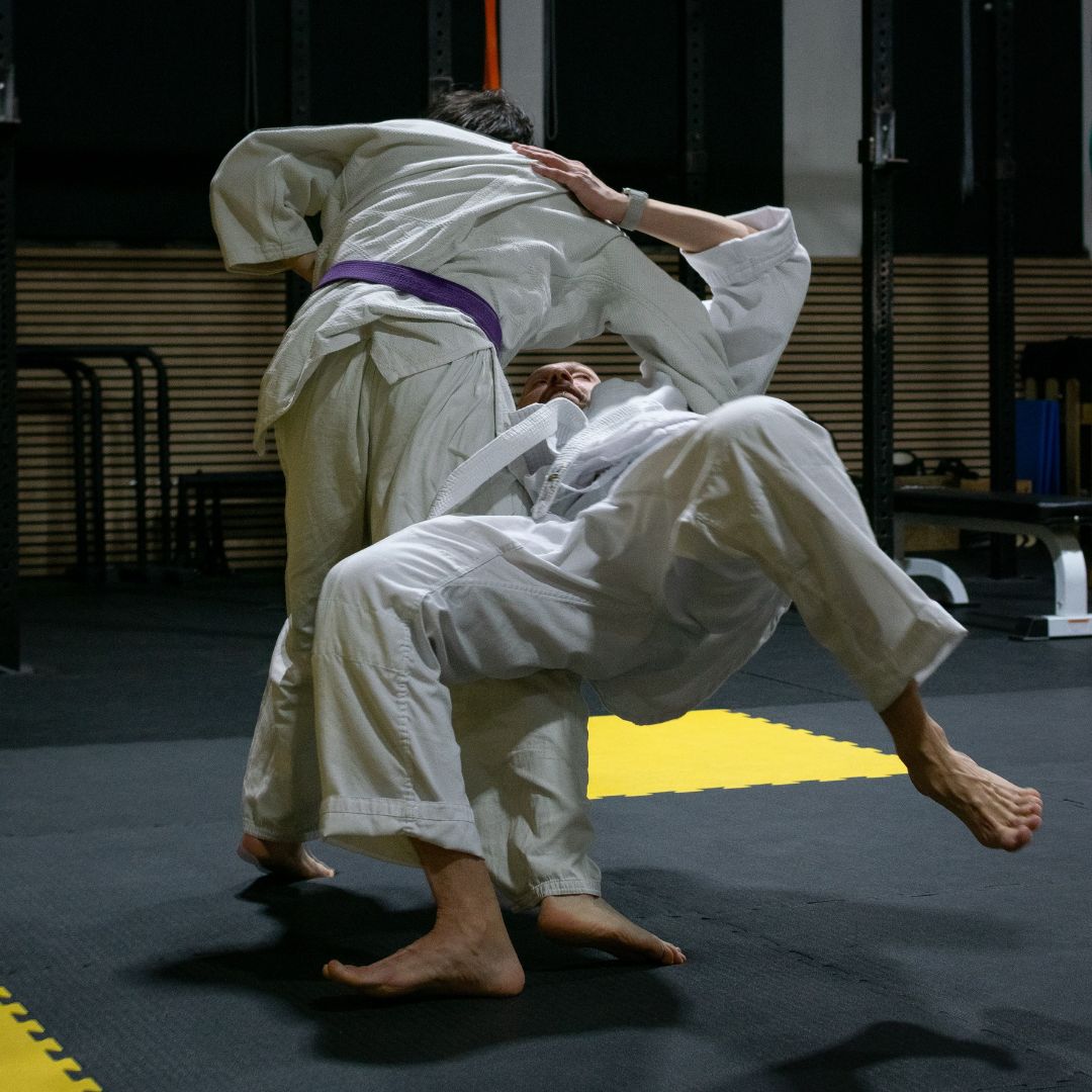 Ju Jitsu Difesa Personale Functional Academy Parma 03